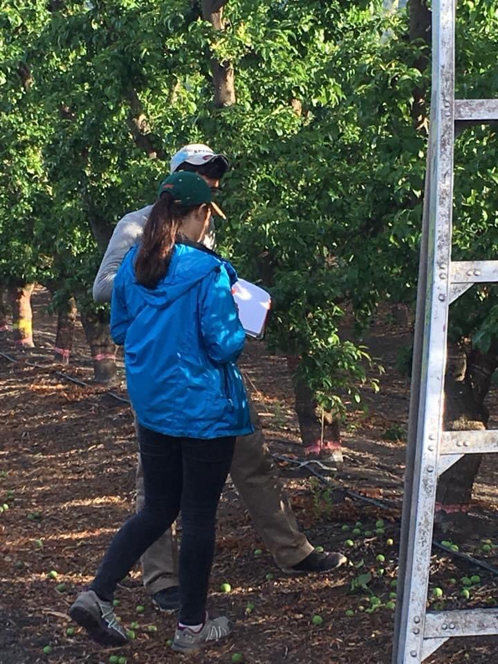 Equipo AgroQuality inspeccionando un huerto